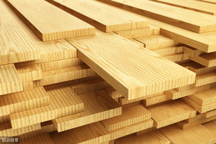 张成举 中国木业加工