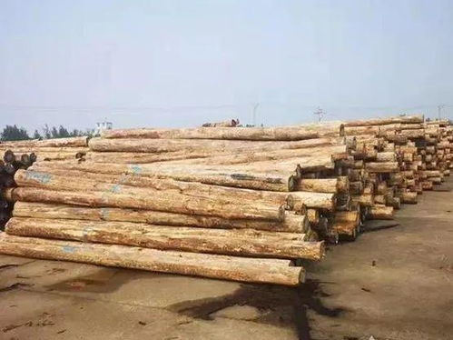 中国木材市场价格涨幅不大 稳中有升