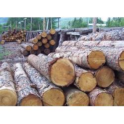木材进口清关流程 微白相思木材进口清关 木材进口清关